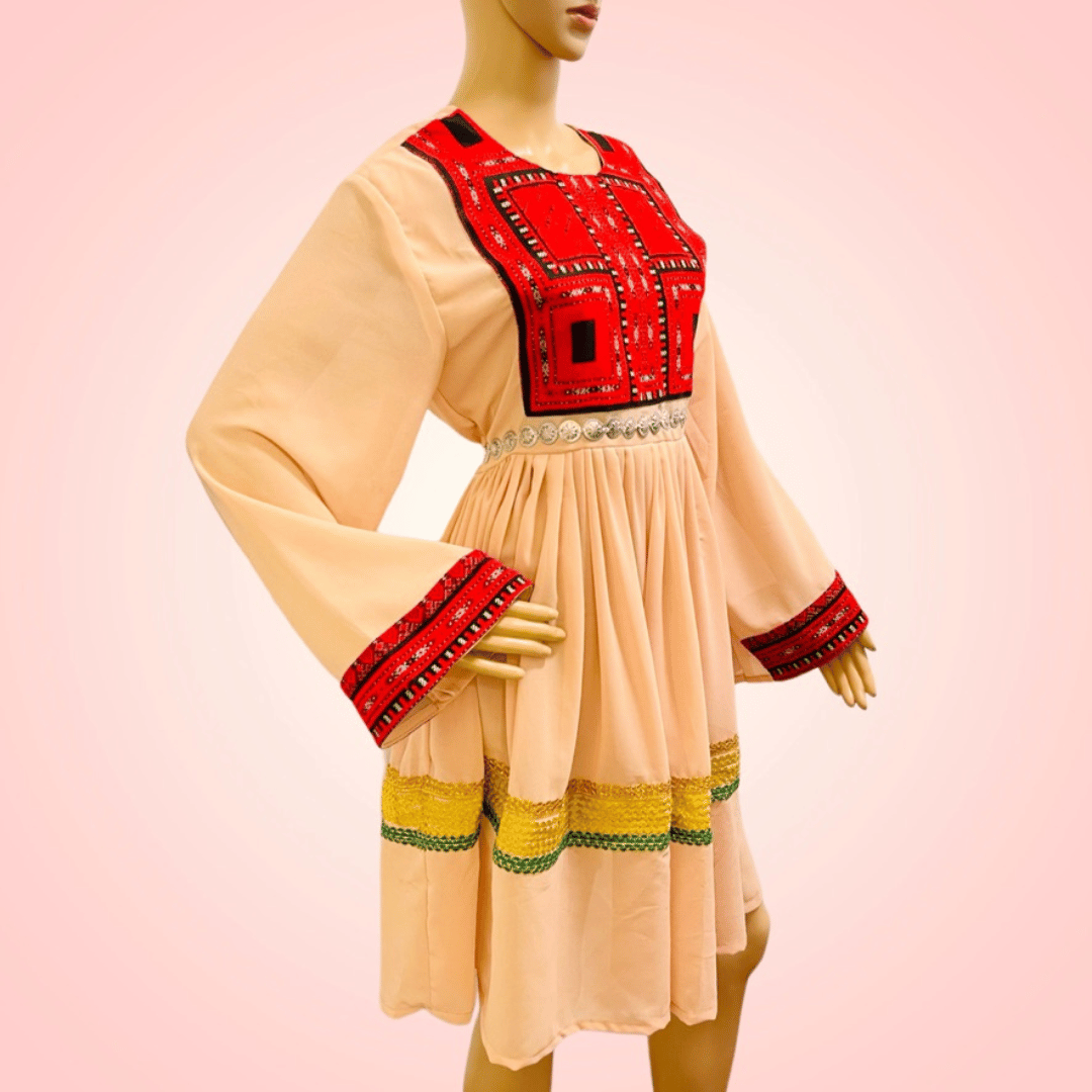 Afghan & Pakistani Modest Party Dress | Knee Length Long Sleeve Wear | All Seasons Wedding / Party Dress.